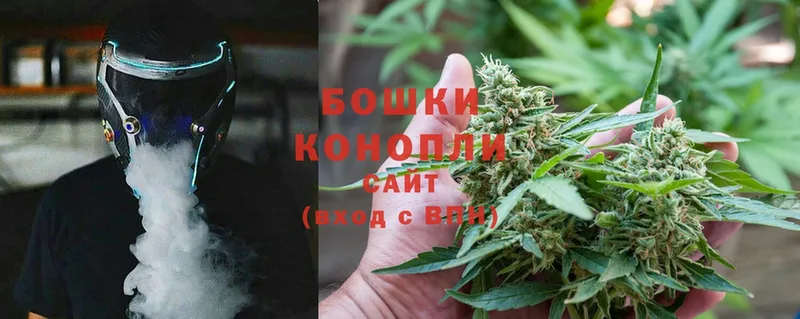 OMG ссылки  Данков  Бошки марихуана SATIVA & INDICA  купить  